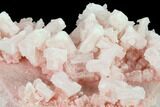 Pink Halite Crystal Plate - Trona, California #133597-2